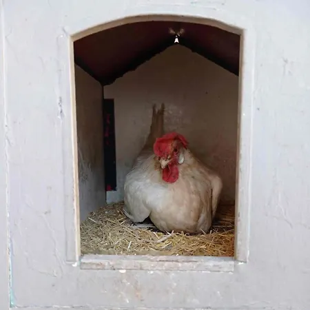 Urban Farm Experience Germogli Farm בארי