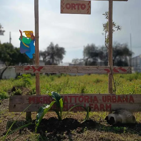 Urban Farm Experience Germogli Farm * בארי