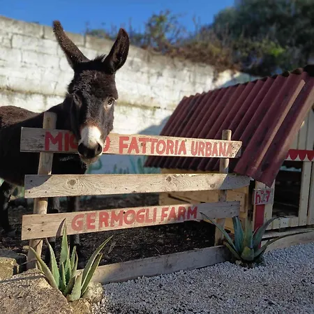 דירה Urban Farm Experience Germogli Farm *